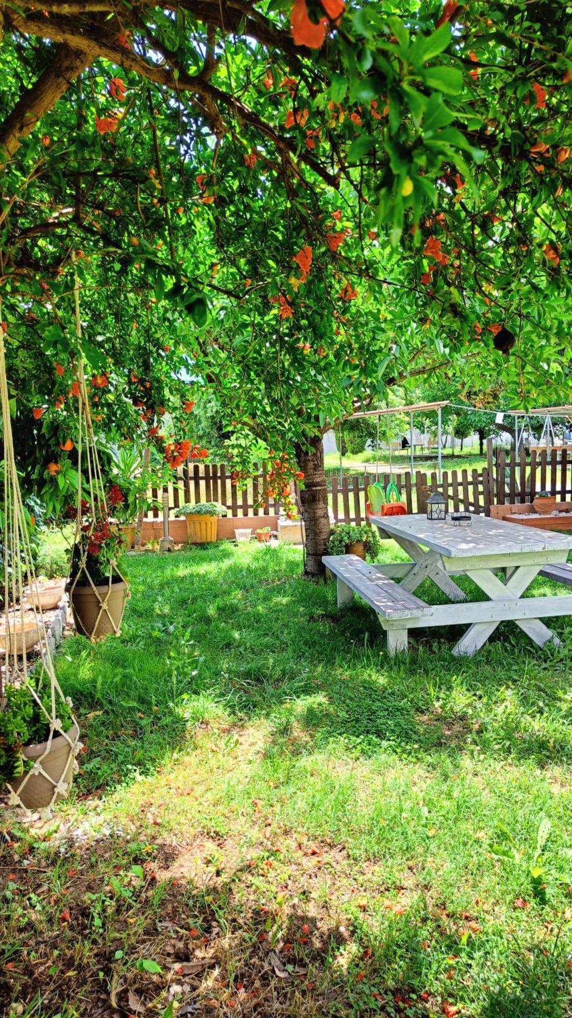 Garden House Katerina Aparthotel Leptokarya  Exterior photo