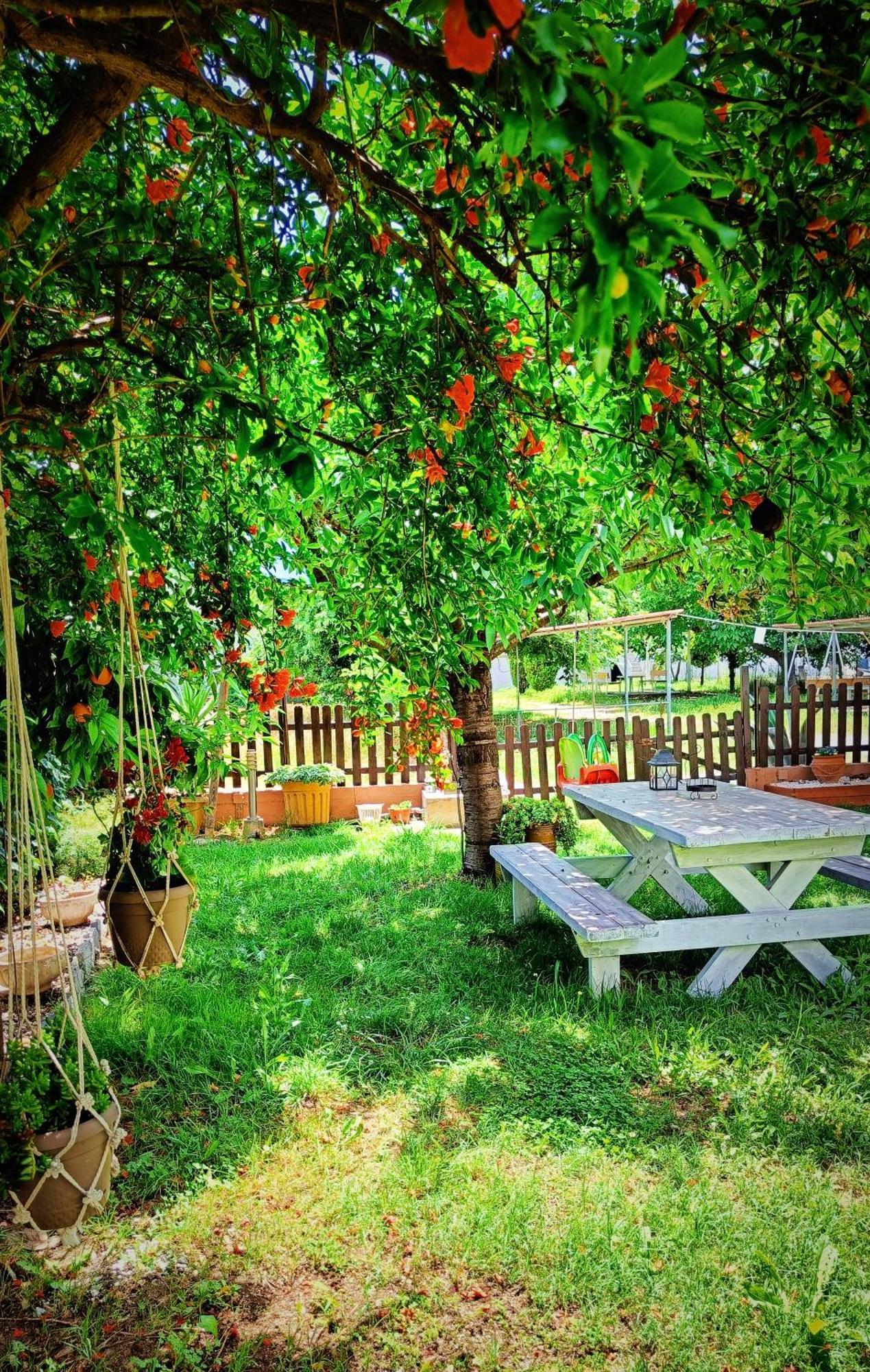 Garden House Katerina Aparthotel Leptokarya  Exterior photo